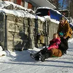 Viosia-ost * Fiesch