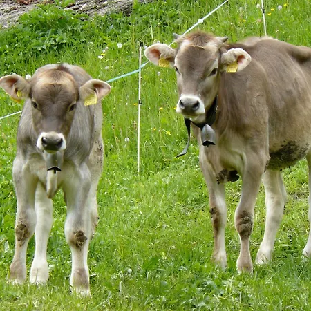 Hébergement de vacances Viosia-ost *